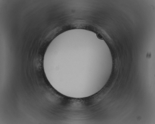 X0000091070073200708271224