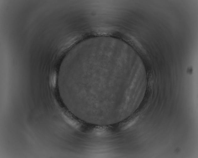 X0000091070076200708271224