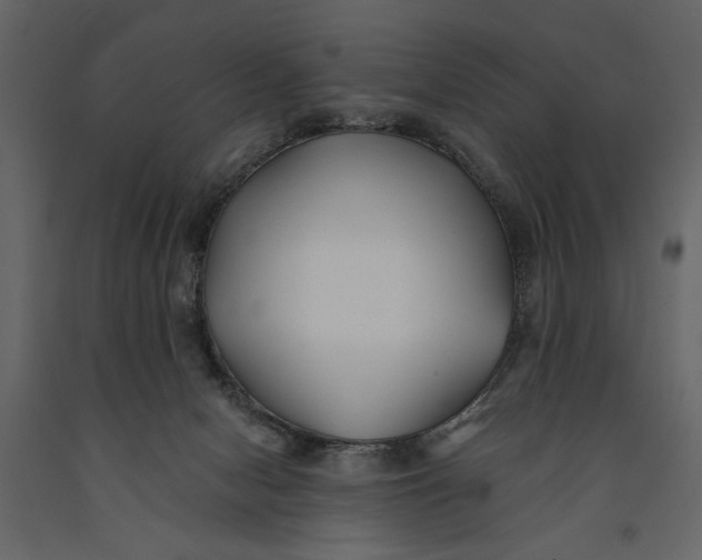 X0000091070078200708271224