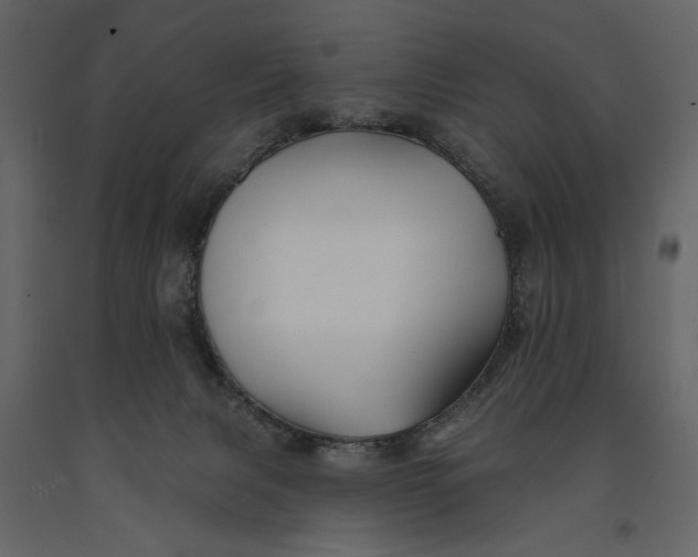 X0000091070079200708271224