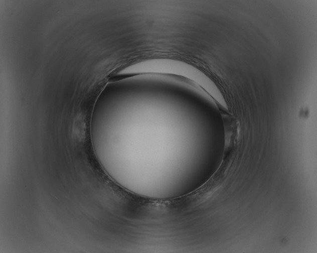X0000091070080200708271224