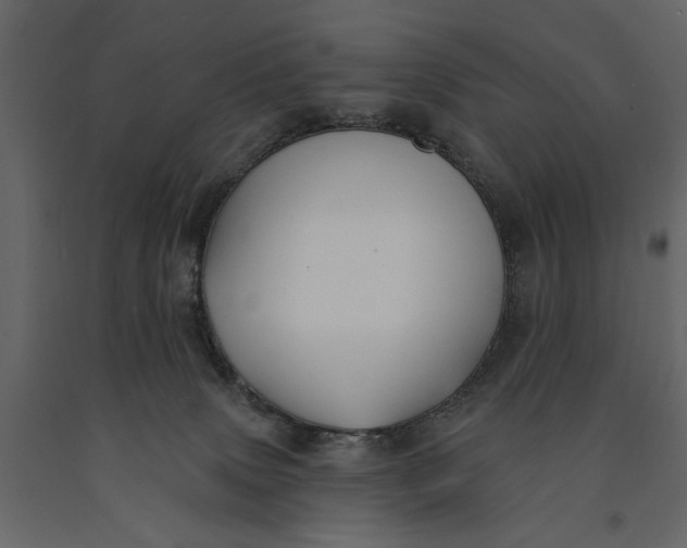 X0000091070083200708271224