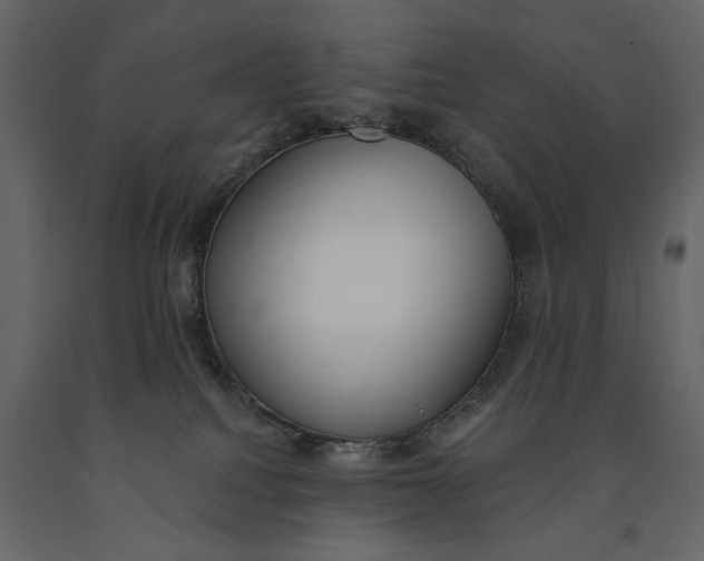 X0000091070088200708271224