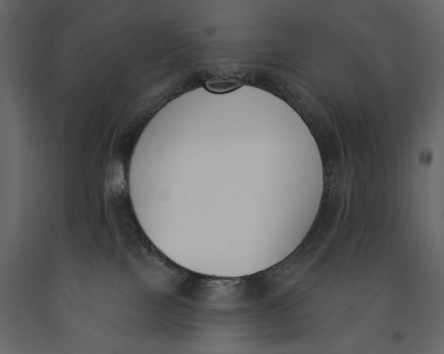 X0000091070089200708271224