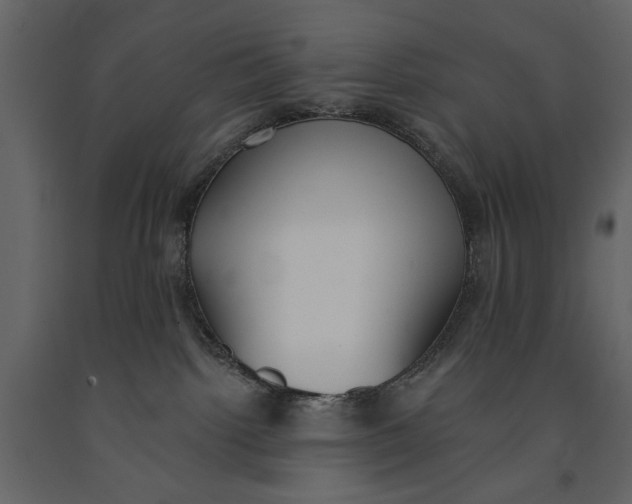 X0000091070092200708271224