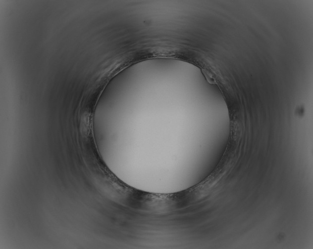 X0000091070093200708271224