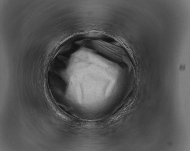 X0000091070097200708271224