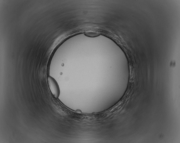 X0000091070099200708271224