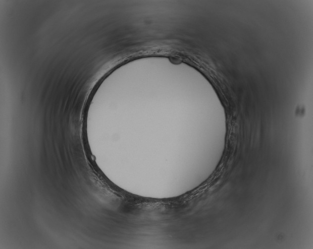 X0000091070100200708271224