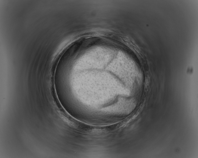 X0000091070101200708271224