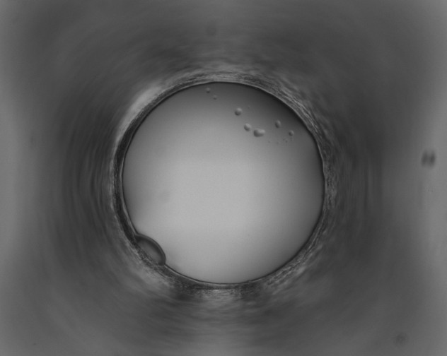 X0000091070102200708271224