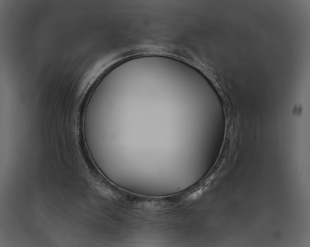 X0000091070103200708271224