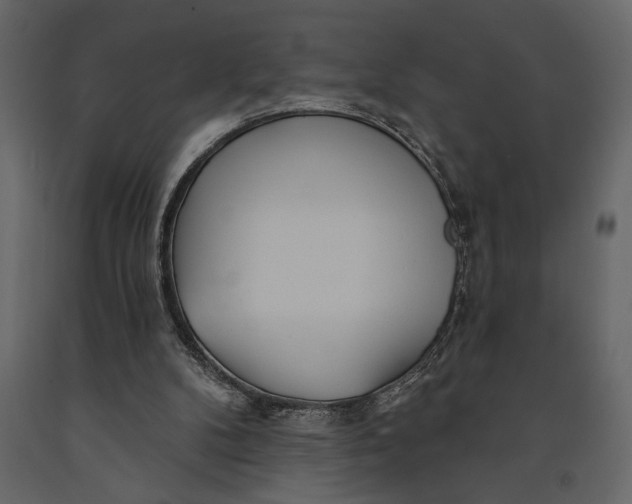 X0000091070104200708271224