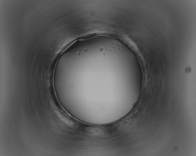 X0000091070106200708271224
