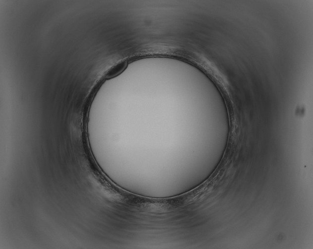 X0000091070107200708271224