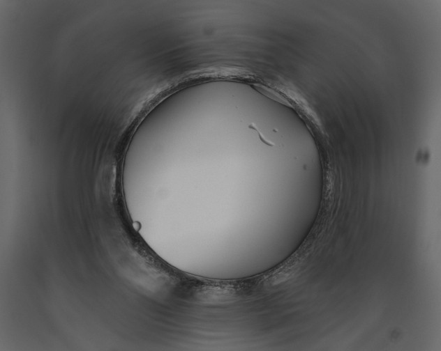 X0000091070110200708271224