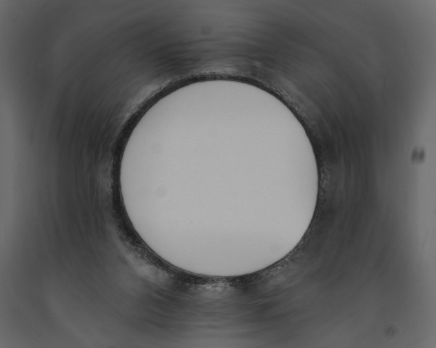 X0000091070112200708271224