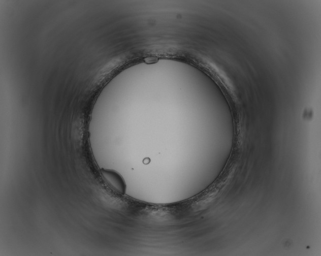 X0000091070113200708271224