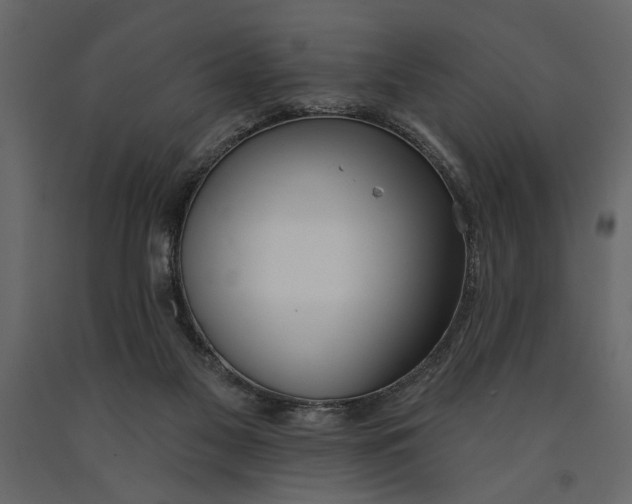 X0000091070117200708271224