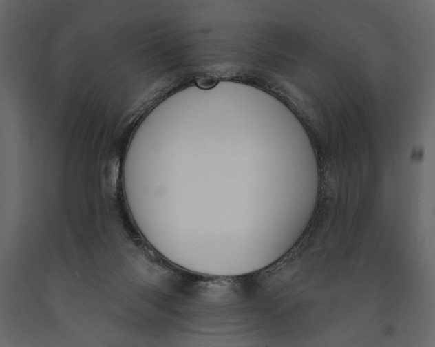 X0000091070118200708271224