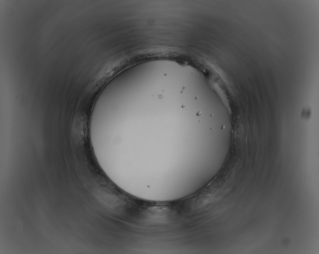 X0000091070119200708271224