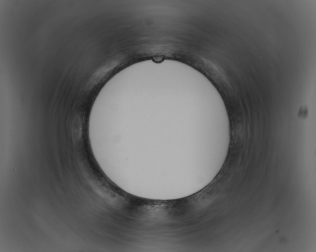 X0000091070120200708271224