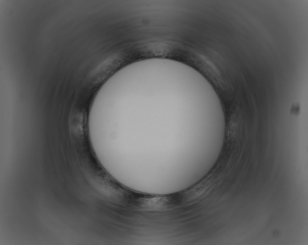 X0000091070122200708271224