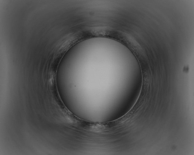 X0000091070125200708271224