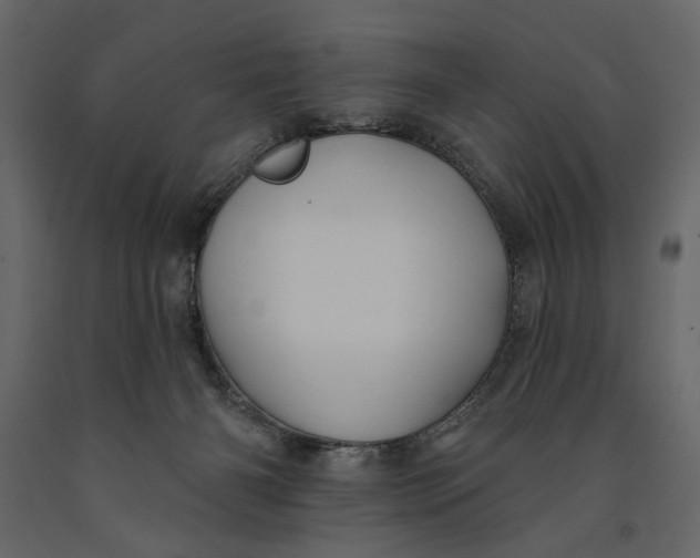 X0000091070126200708271224