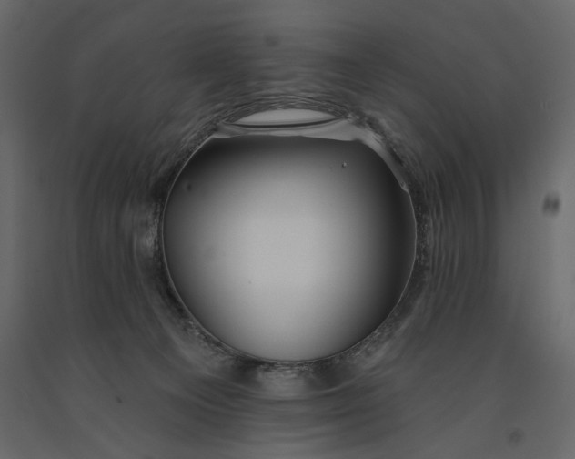 X0000091070129200708271224