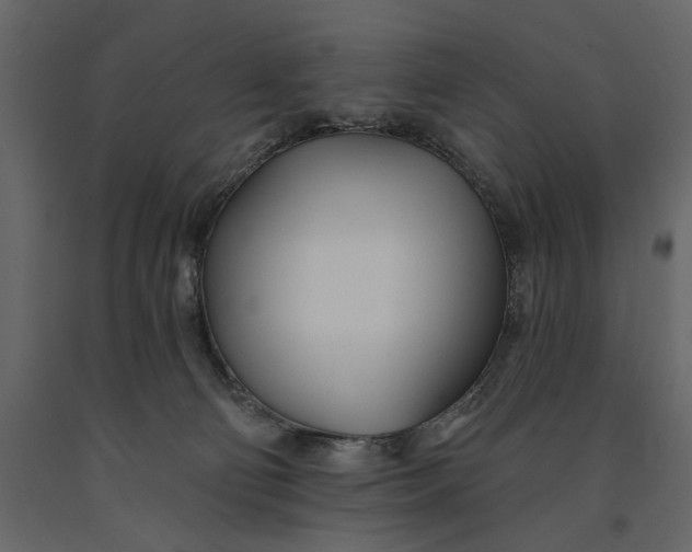 X0000091070130200708271223