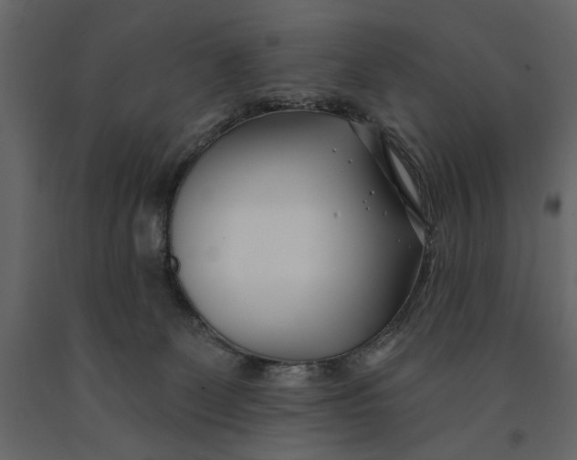 X0000091070131200708271223