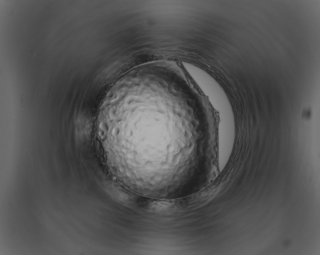 X0000091070139200708271223