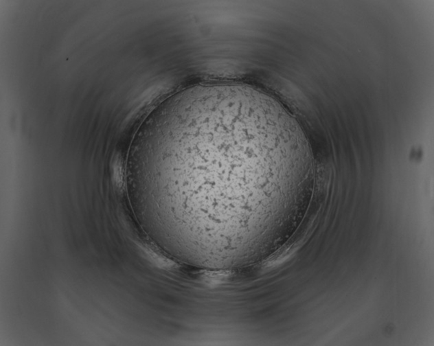 X0000091070143200708271223