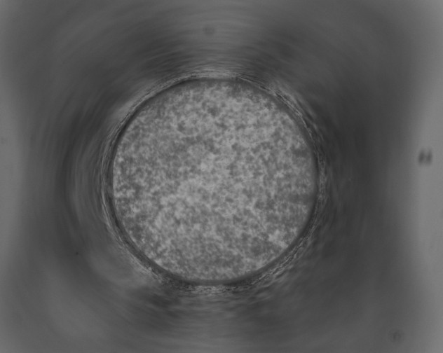 X0000091070145200708271223