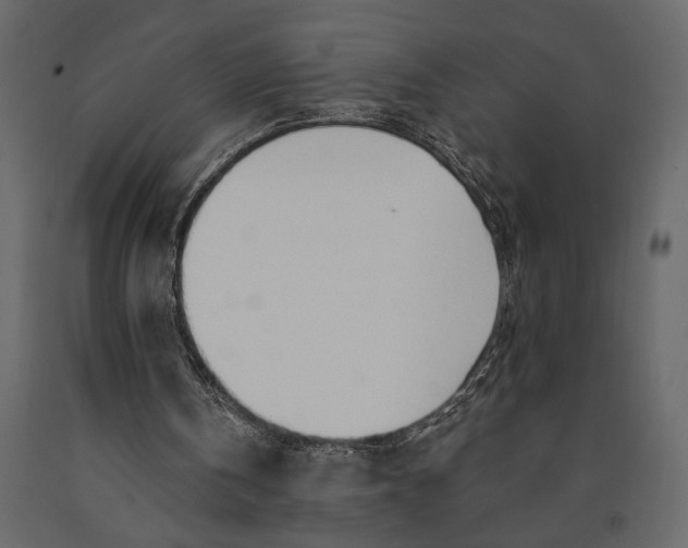 X0000091070146200708271223