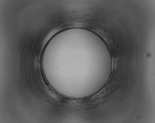 X0000091070147200708271223
