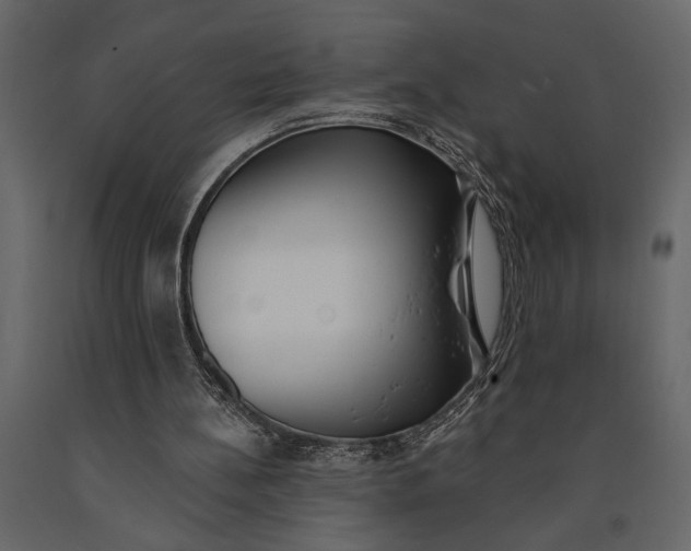 X0000091070148200708271223