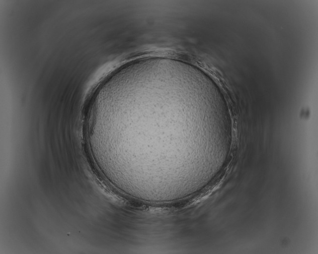 X0000091070149200708271223