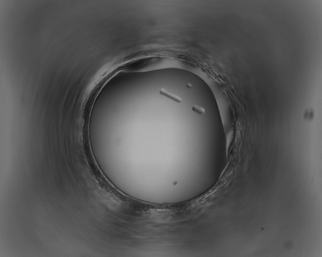 X0000091070150200708271223