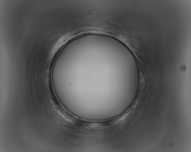 X0000091070151200708271223