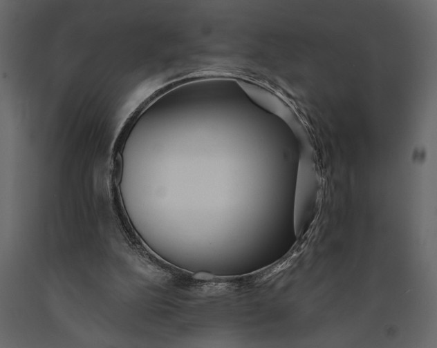 X0000091070152200708271223
