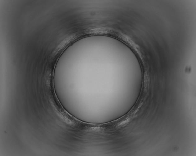 X0000091070153200708271223