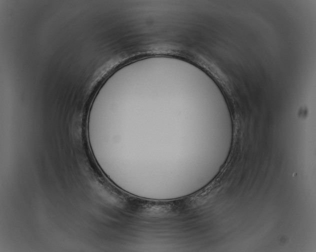 X0000091070155200708271223