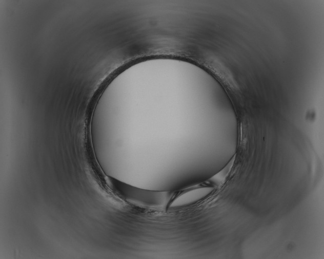 X0000091070156200708271223