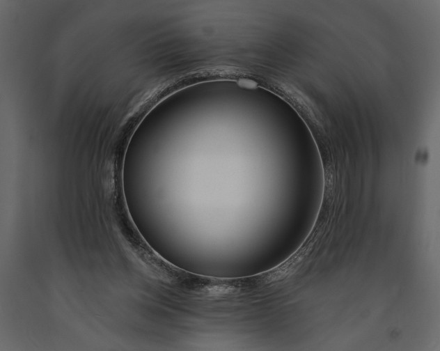 X0000091070158200708271223