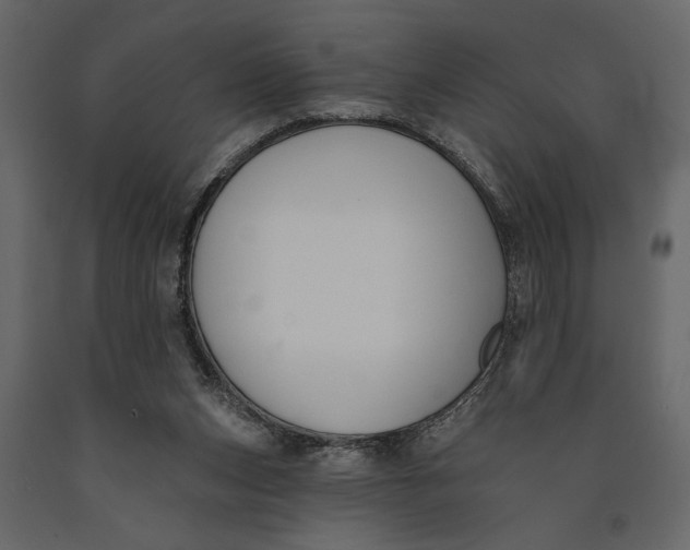 X0000091070159200708271223