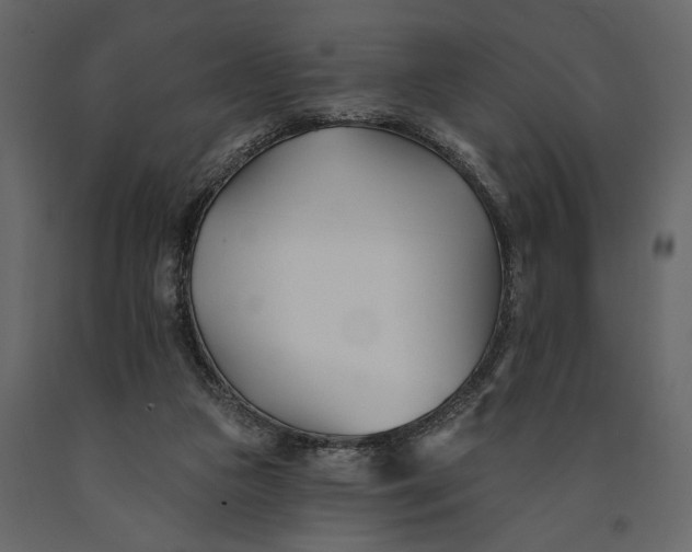 X0000091070161200708271223