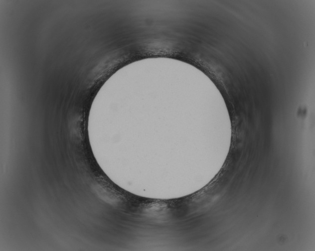 X0000091070162200708271223