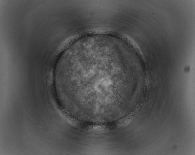 X0000091070163200708271223
